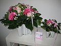 IMG_1810