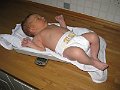 IMG_1911
