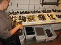 IMG_2223