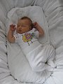 IMG_2313