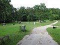 IMG_2316
