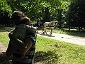 IMG_2610