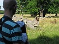 IMG_2668