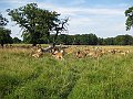 IMG_2672