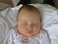 IMG_2739