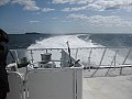 IMG_2761