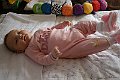 IMG_2916b