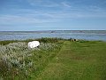 IMG_2951