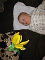 IMG_3110