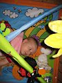 IMG_3175