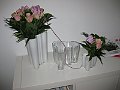 IMG_3417