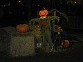 IMG_3794