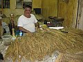 IMG_4202
