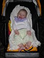 IMG_4253