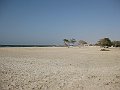 IMG_4456