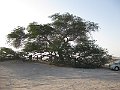 IMG_4514