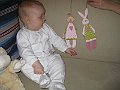 IMG_1245