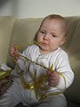 IMG_1278