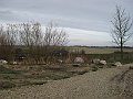 IMG_1290