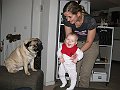 IMG_1489