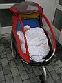 IMG_7992