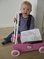 IMG_8025