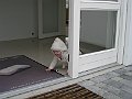 IMG_8067