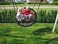 IMG_9799