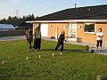 IMG_9856
