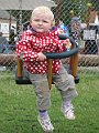 IMG_0806