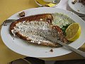 IMG_0916