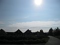 IMG_0446