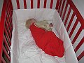 IMG_0421
