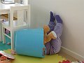 IMG_2584