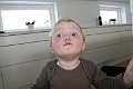 IMG_7598