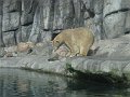 IMG_4210
