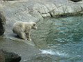 IMG_4234