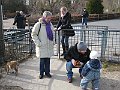 IMG_4288