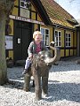 IMG_5711