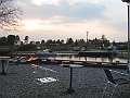 IMG_5910