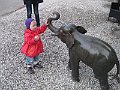 IMG_5915