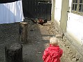 IMG_5788