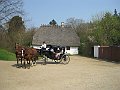 IMG_5803