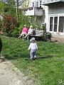 IMG_5951