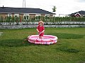 IMG_6921