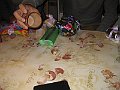 IMG_7470