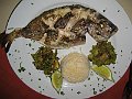 IMG_7898
