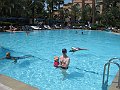 IMG_8184