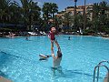 IMG_8185