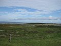 IMG_8451